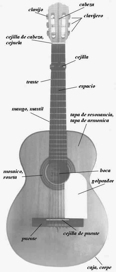 Гитара фламенко - схема